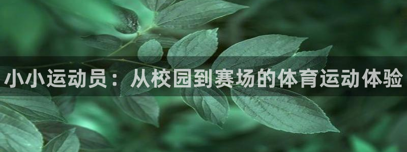 MK体育官方正版app官方:小小运动员:从校园到赛场的体育运