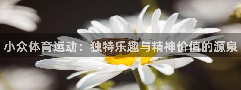 MK体育官网下载招商电话是多少:小众体育运动:独特乐趣与精神
