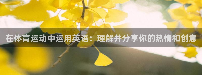 MK体育官网下载娱乐:在体育运动中运用英语:理解并分享你的热